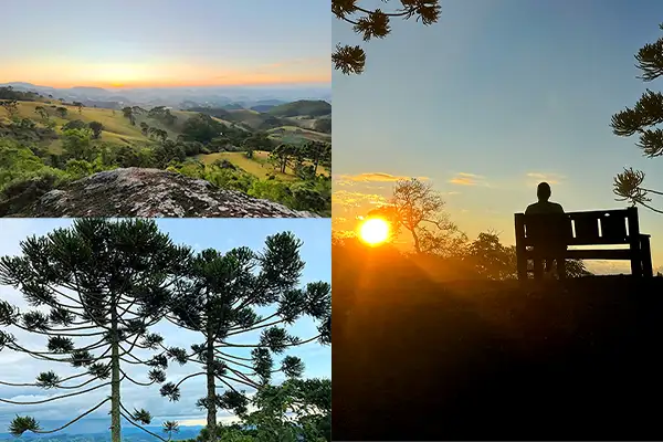 Tour S&iacute;tio Miralua